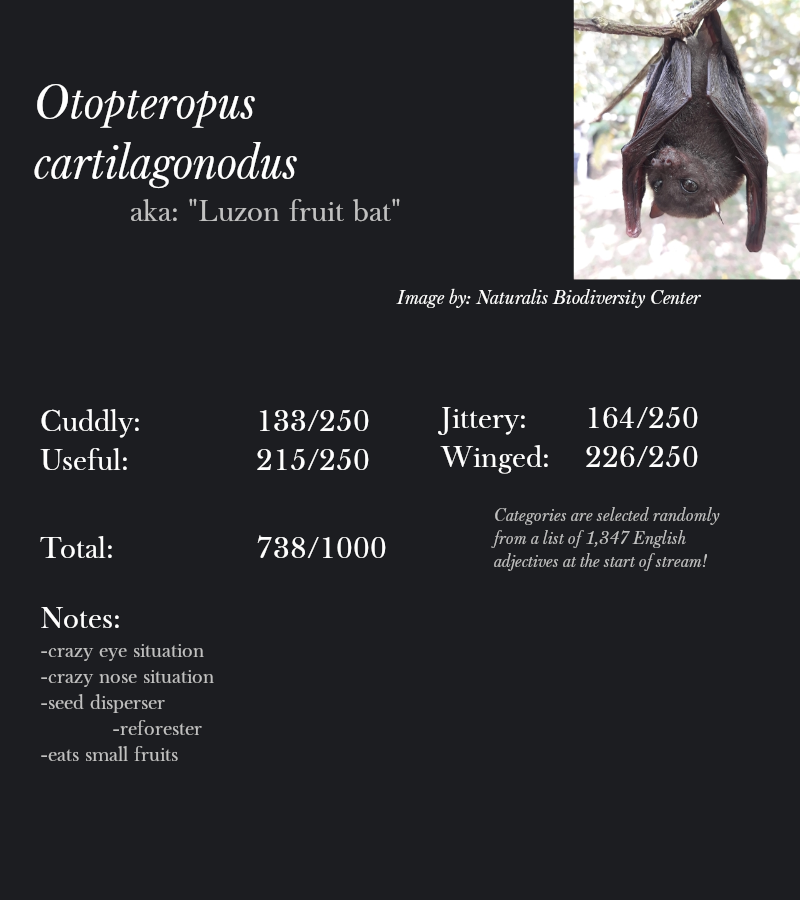 Otopteropus cartilagonodus